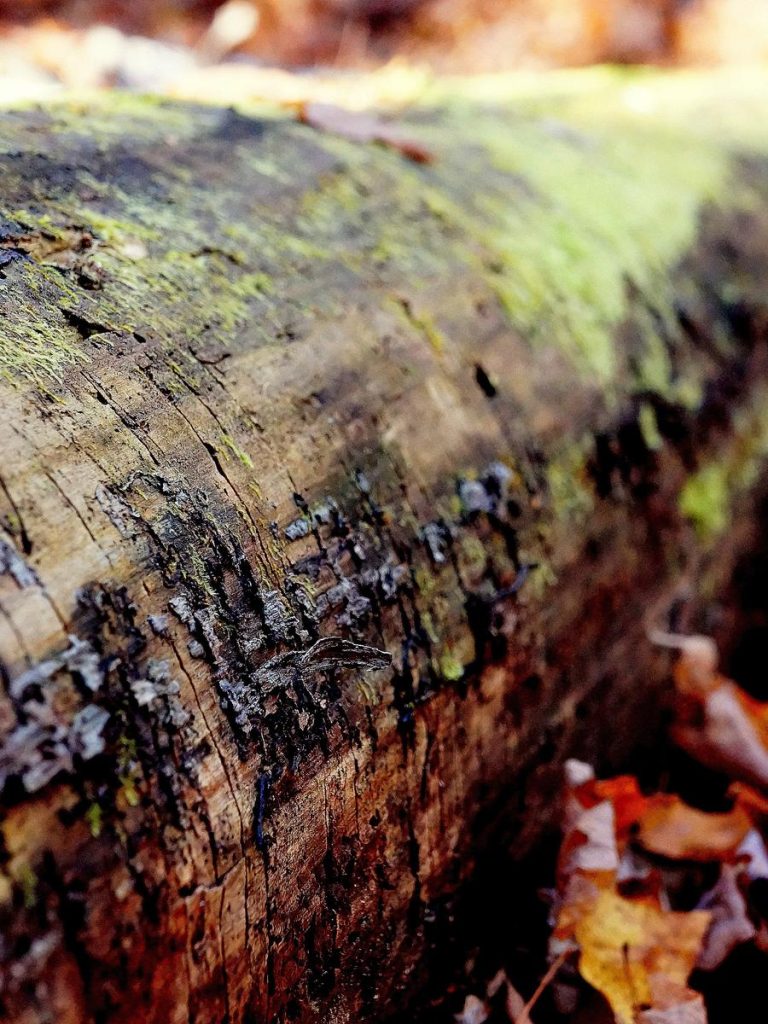 9db90646-c61d-3521-bdd6-d3ae74aa1844