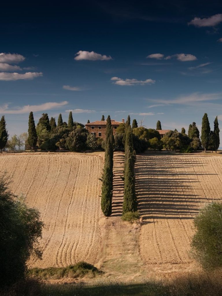 aeaaa7a9-8f1e-3042-84c6-d0a45e983750