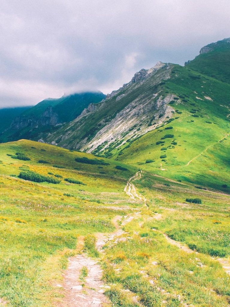 ba922057-d78a-3488-8fdd-9fda57d82411